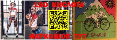 шишки Конаково