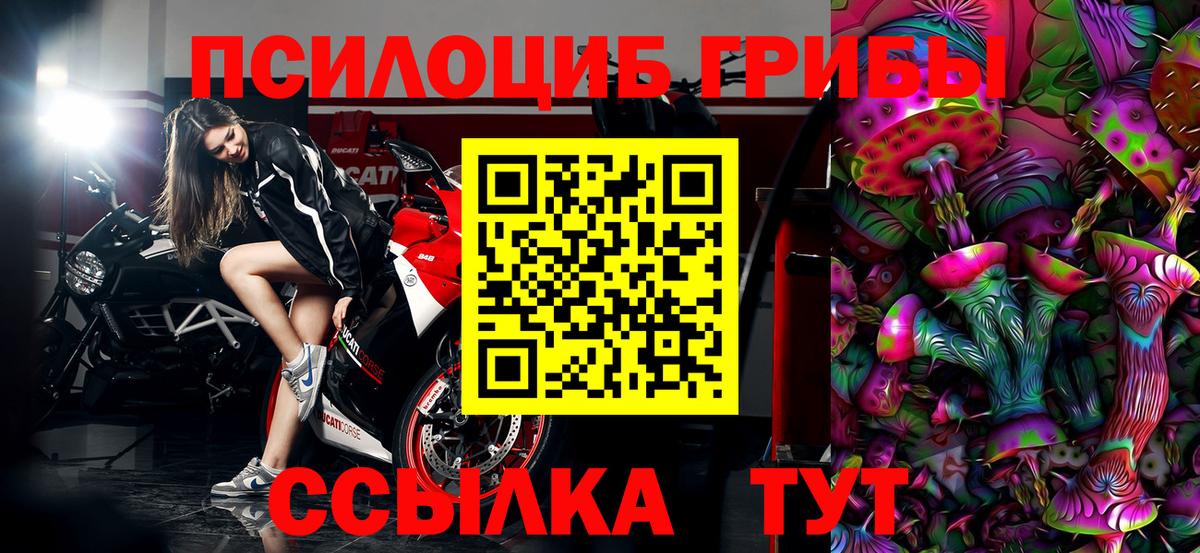 Галлюциногенные грибы Psilocybe Красноармейск