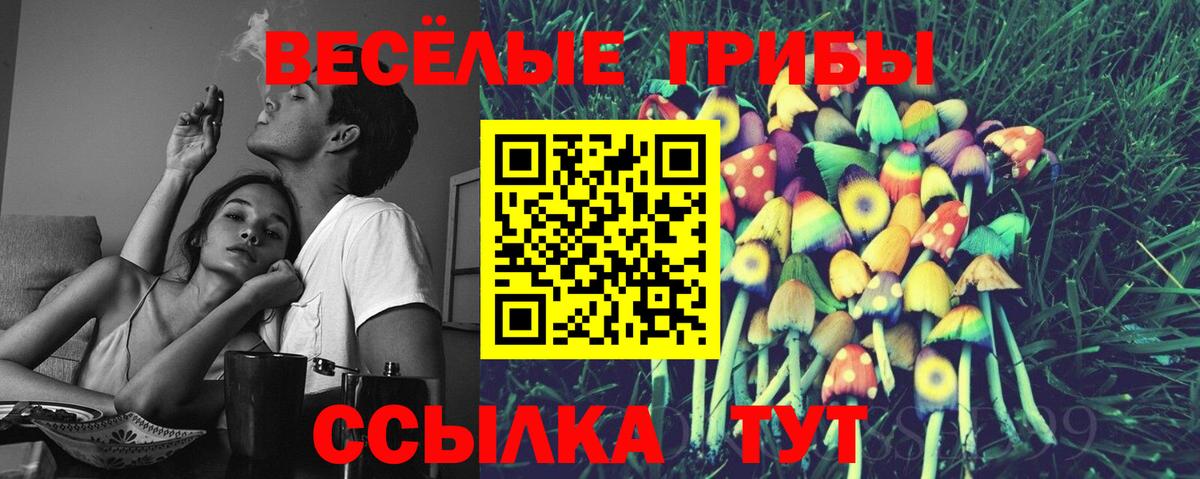 дарнет шоп  Вход с VPN  Красноармейск  Псилоцибиновые грибы прущие грибы 